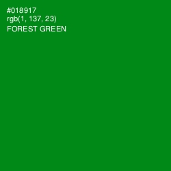 #018917 - Forest Green Color Image